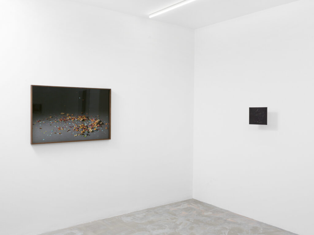 Sentiment_202511211389-web