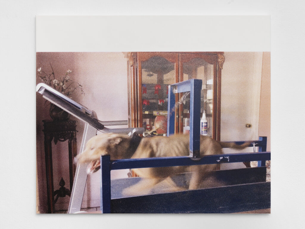 Sentiment-RomanSelimKhereddine-PhilippRupp-JulienGremaud-013-web