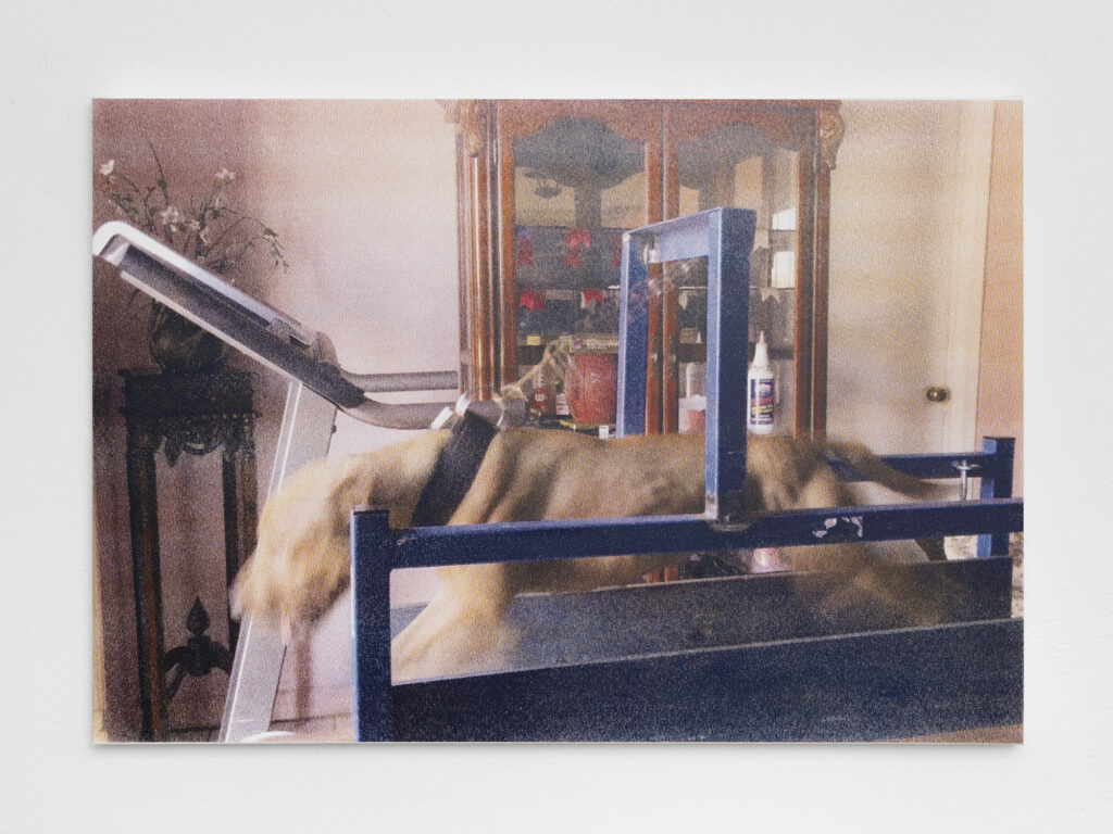 Sentiment-RomanSelimKhereddine-PhilippRupp-JulienGremaud-014-web