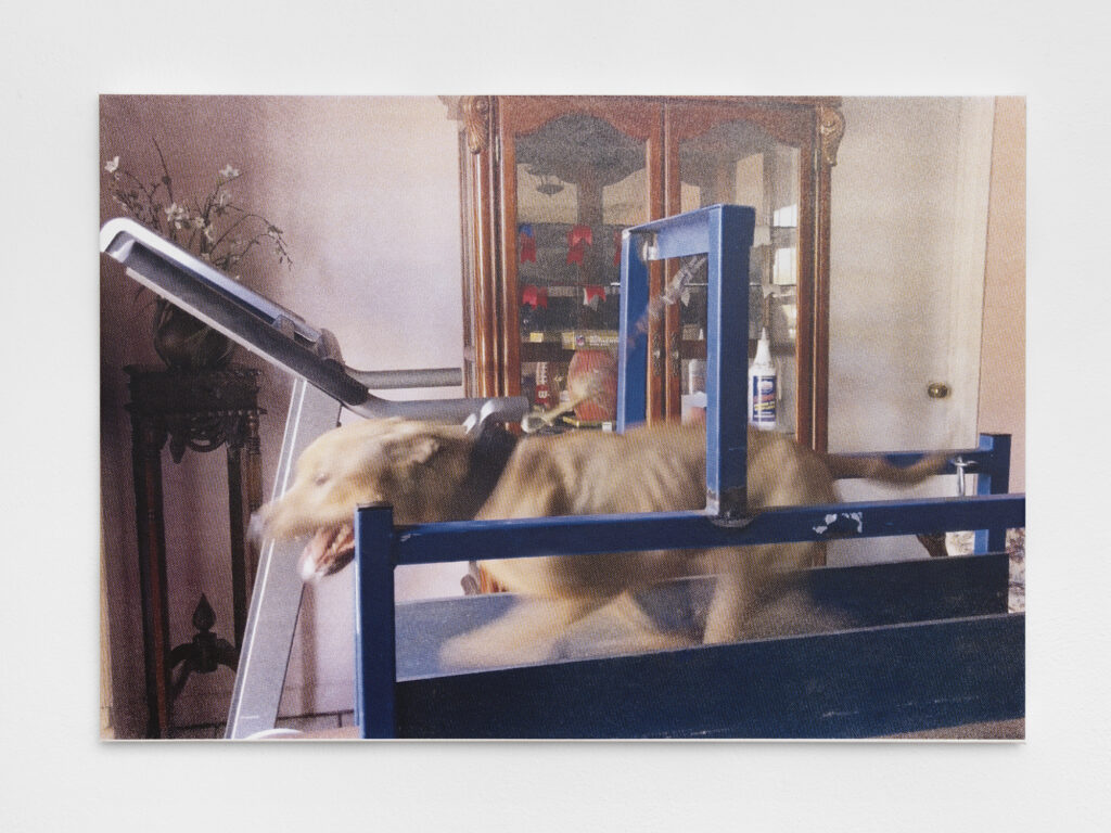 Sentiment-RomanSelimKhereddine-PhilippRupp-JulienGremaud-015-web