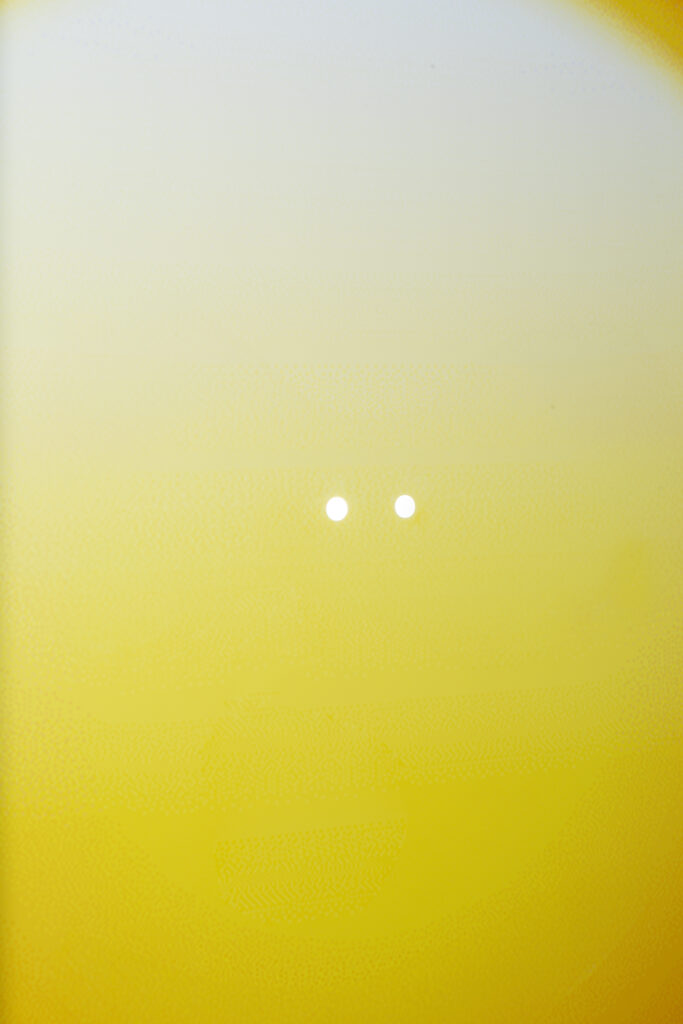 Sentiment-Scopie-PhilippRupp-JulienGremaud-009-web