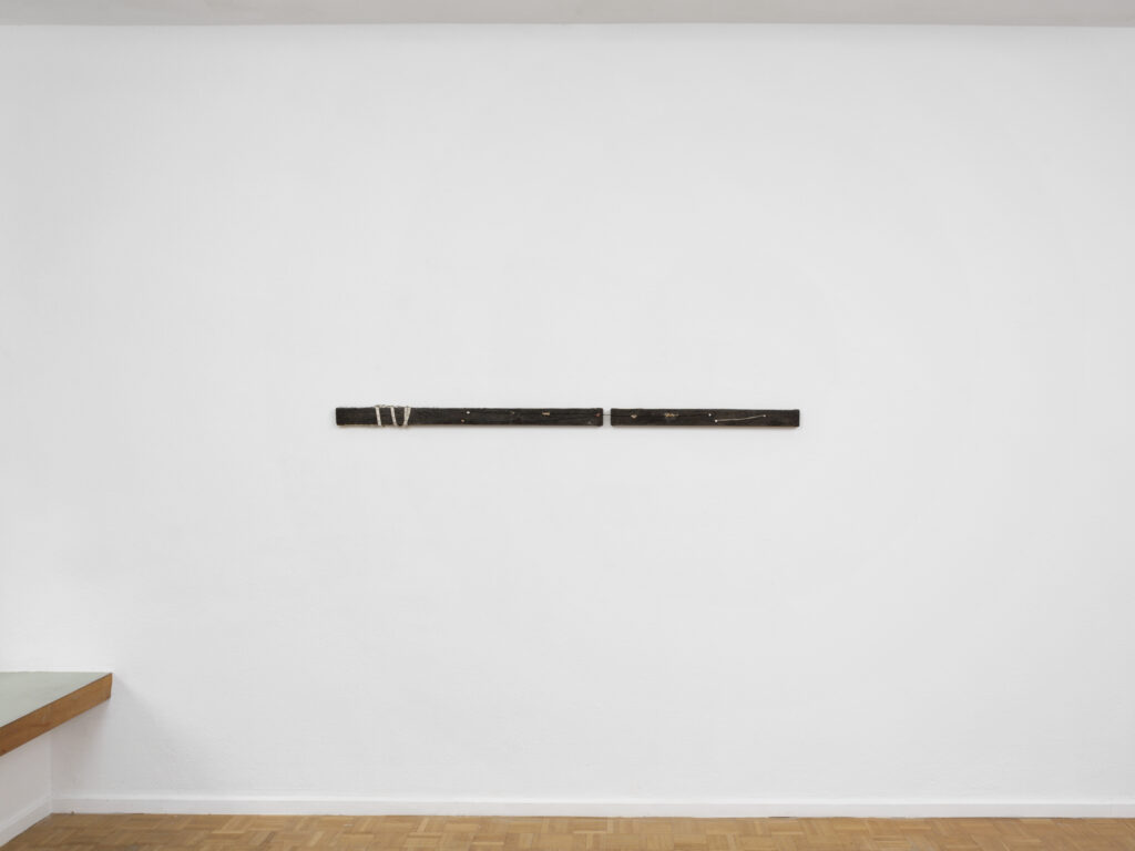 Sentiment-Stardust-PhilippRupp-JulienGremaud-003-web