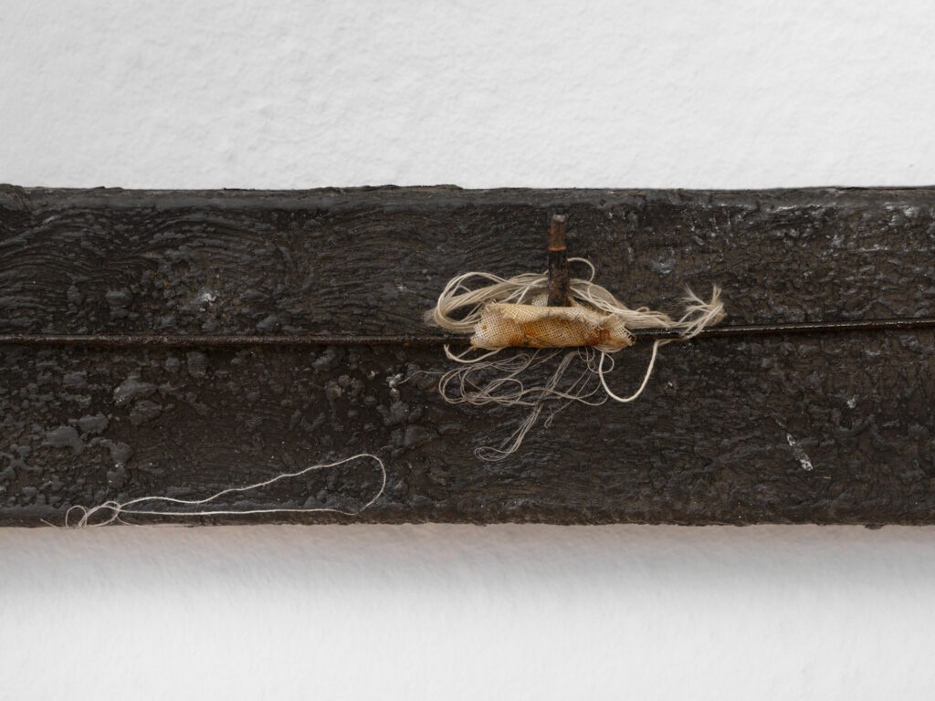 Sentiment-Stardust-PhilippRupp-JulienGremaud-006-web