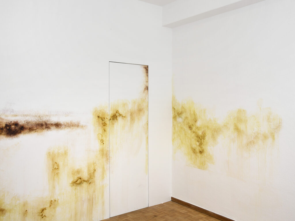 Sentiment-WetExcess-PhilippRupp-JulienGremaud-005-web