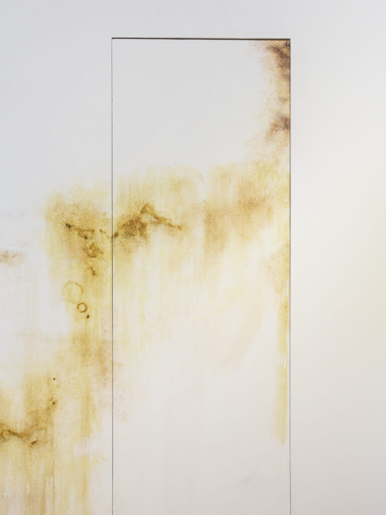 Sentiment-WetExcess-PhilippRupp-JulienGremaud-007-web