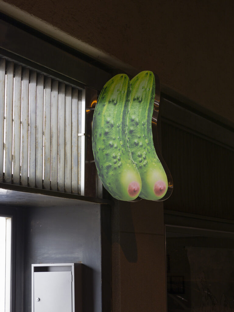 Sentiment-WhenRedandWhite-JulienGremaud-011-web